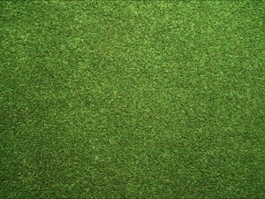 No More Mowing!