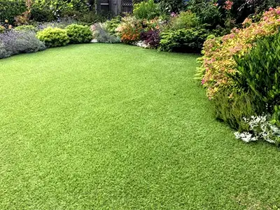 Artificial Turf, Litchfield Park, AZ